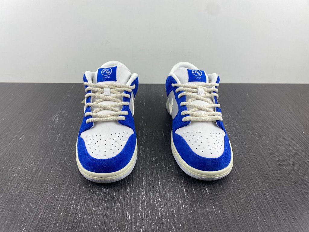 Fly Streetwear x Nike SB Dunk Low 2023 DQ5130-400